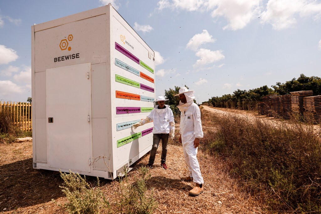 CEO Saar Safra and Hallel Schreier, head of research, stand next to a robotic beehive developed by the Israeli startup company Beewise in Beit Haemek, Israel