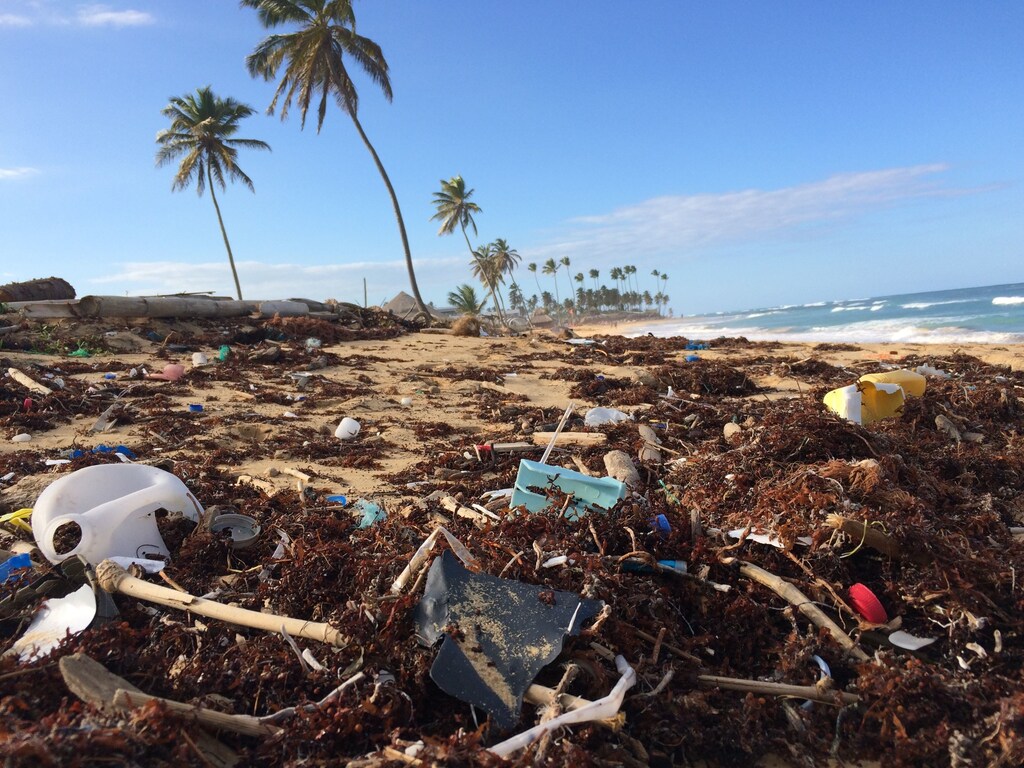 Plastic pollution on a beach.