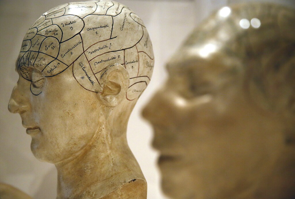 Plaster phrenological models of heads, showing different parts of the brain, are seen at an exhibition at the Wellcome Collection in London March 27, 2012. t