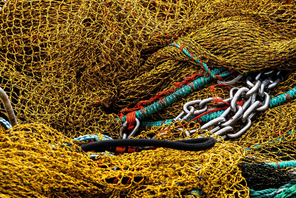 overfishing is highly damaging to both local ecosystems and the planet as a whole