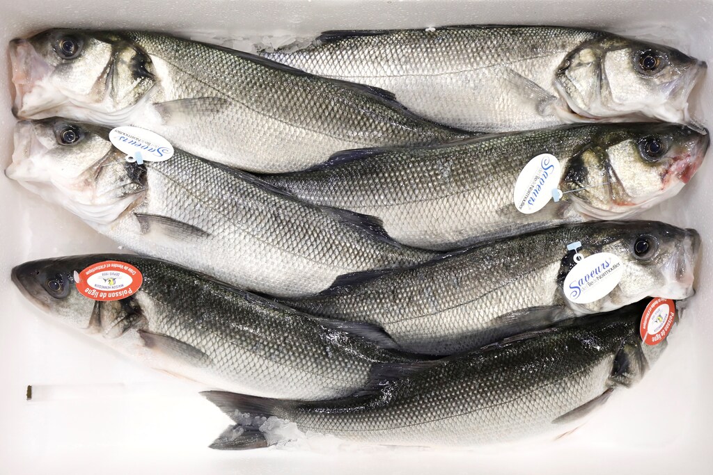 Line caught sea bass are pictured at the fish pavilion in Rungis International wholesale food market as buyers prepare for the Christmas holiday season in Rungis, south of Paris, November 30, 2017. Picture taken November 30, 2017. REUTERS/Benoit Tessier - RC12FC6D837