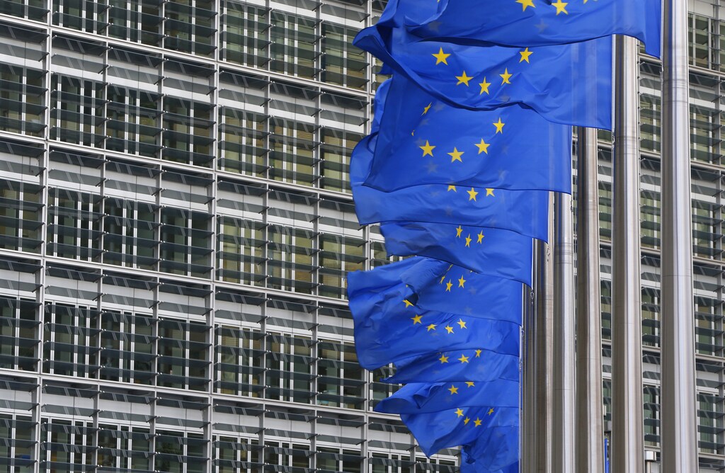 European flags are hung outside the European Commission headquarters in Brussels January 22, 2014.