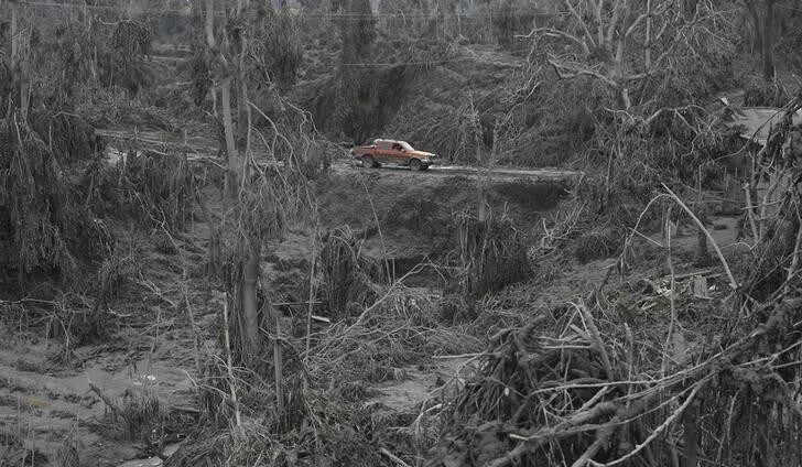 A car is seen on a road surrounded by damaged trees after the area was hit by ash from Mount Sinabung at Sigarang Garang village in Karo district, Indonesia's North Sumatra province, January 12, 2014. More than 22,000 villagers have been evacuated since authorities raised the alert status for the volcano to the highest level in November 2013, local media reported on Friday. REUTERS/YT Haryono (INDONESIA - Tags: DISASTER ENVIRONMENT TPX IMAGES OF THE DAY)