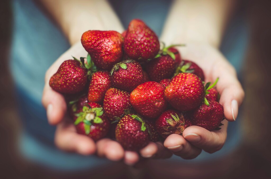 Someone holds a handful of deep red strawberries – closeup: Innovative technologies are transforming food systems to address global challenges.