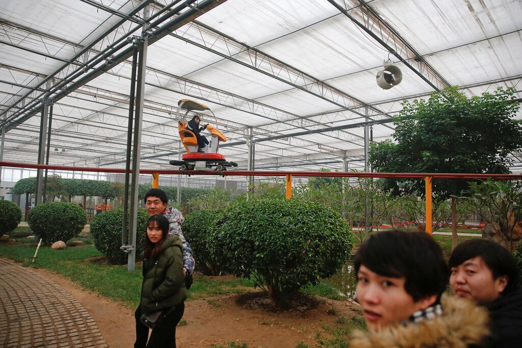 People enjoy their time inside the Jiutian Greenhouse in Langfang, Hebei province, as the region goes through the period of extreme air pollution with red alert issued, China December 19, 2016. REUTERS/Damir Sagolj - RC1B33D14B00