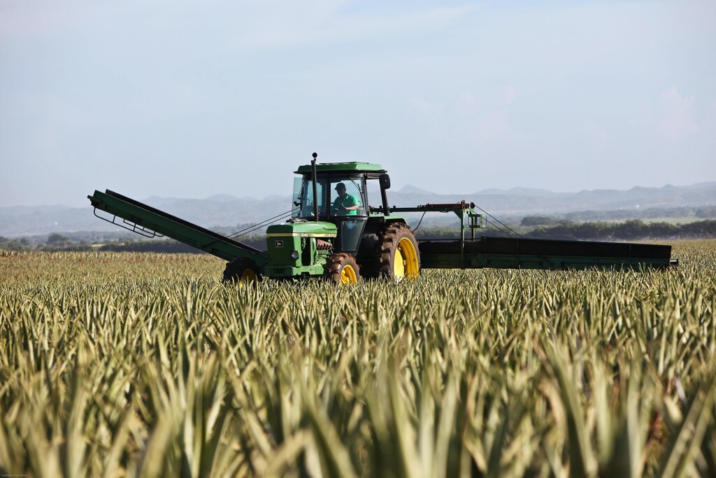 Man driving tractor on a farm.