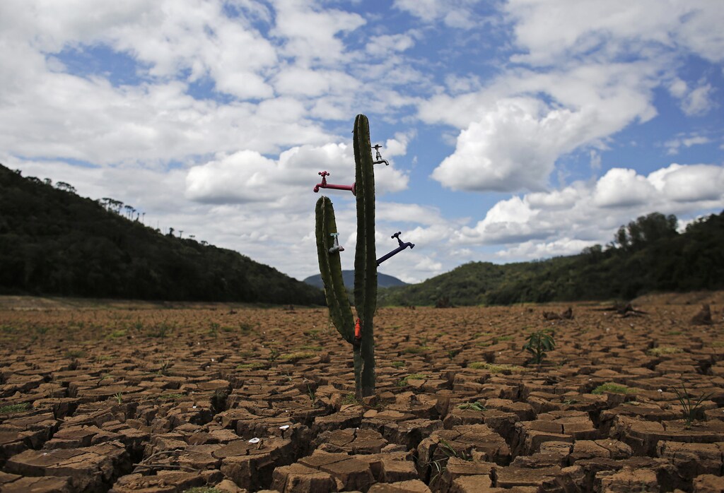 A drought-related cactus installation called "Desert of Cantareira" by Brazilian artist and activist Mundano is seen at Atibainha dam, part of the Cantareira reservoir, during a drought in Nazare Paulista, Sao Paulo December 2, 2014.
