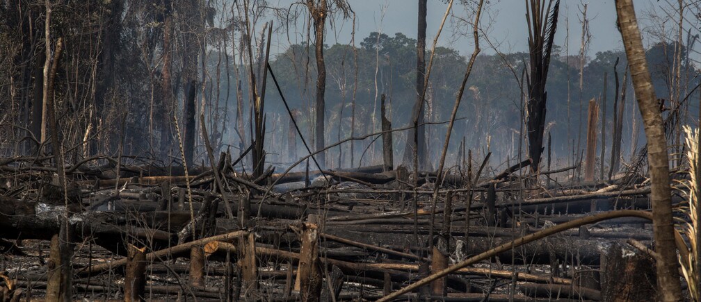 La naturaleza se enfrenta a una mayor presión durante la pandemia, pero la respuesta correcta puede curar nuestra salud, nuestra economía y nuestro planeta.