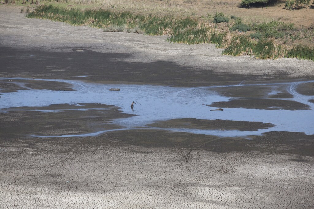 A man in a dam that is drying up.
