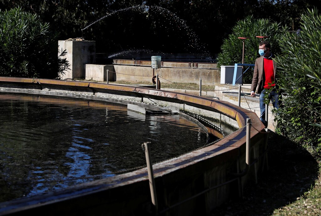 Alessandro Terracciani, water quality chief for Acqualatina sewage works, looks on as workers collect samples of waste water to be sent to a laboratory for close examination to monitor the coronavirus in the water, at a sewage works in Anzio, near Rome, Italy, November 3, 2020. Picture taken November 3, 2020. REUTERS/Yara Nardi - RC2L1K95XMI4