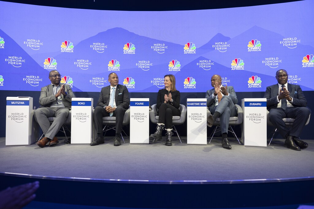 African government, business and civil society leaders met in Davos.