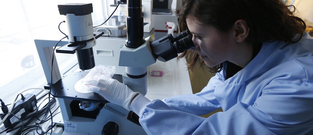 Full STEM ahead ... career choices are not free from the constructs of social barriers.