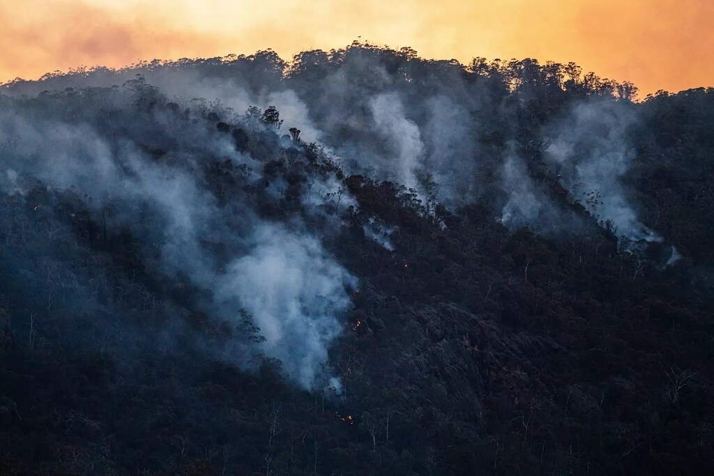 Las temperaturas más altas derivadas del cambio climático pueden tener efectos negativos en la salud mental, como el bajo estado de ánimo, mientras que los trastornos psiquiátricos tienden a aumentar durante las olas de calor.