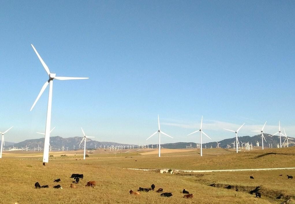 Wind farms pictured in Seville, Spain
