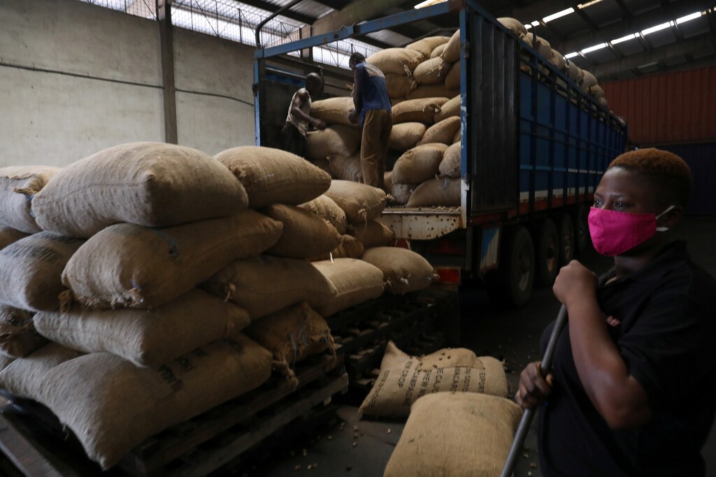 People work at a cashew nut warehouse, amid the global coronavirus disease (COVID-19) outbreak, in Abidjan, Ivory Coast May 13, 2020. Picture taken May 13, 2020. REUTERS/Luc Gnago - RC2J7H9YDQM1