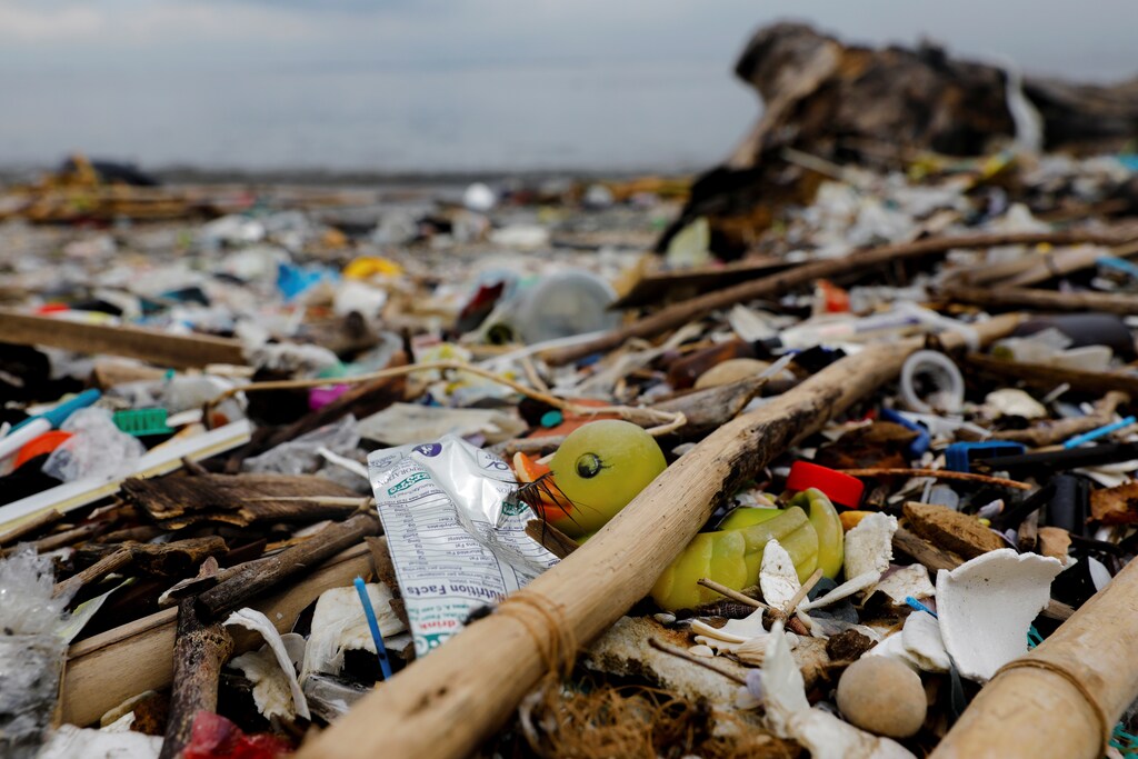A rubber duck toy is pictured among various plastic trash on a garbage-filled shore on Freedom Island, Paranaque City, Metro Manila, Philippines, July 15, 2019. Picture taken July 15, 2019. REUTERS/Eloisa Lopez - RC1EA24CC690