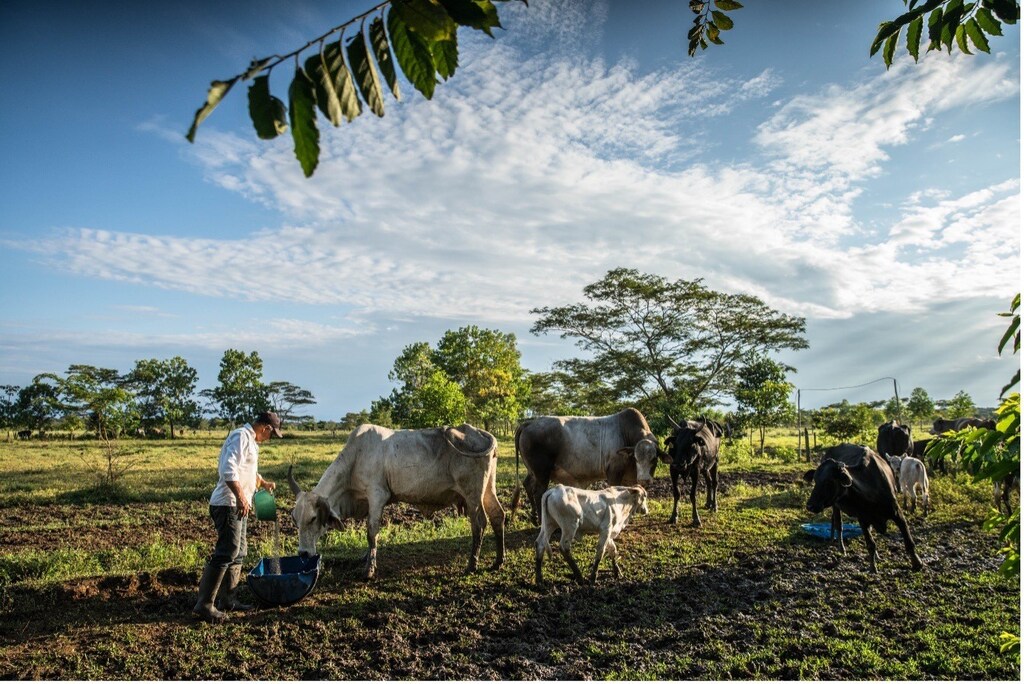 We urgently need to scale up solutions that accelerate the transition towards more sustainable land use practices around agriculture.