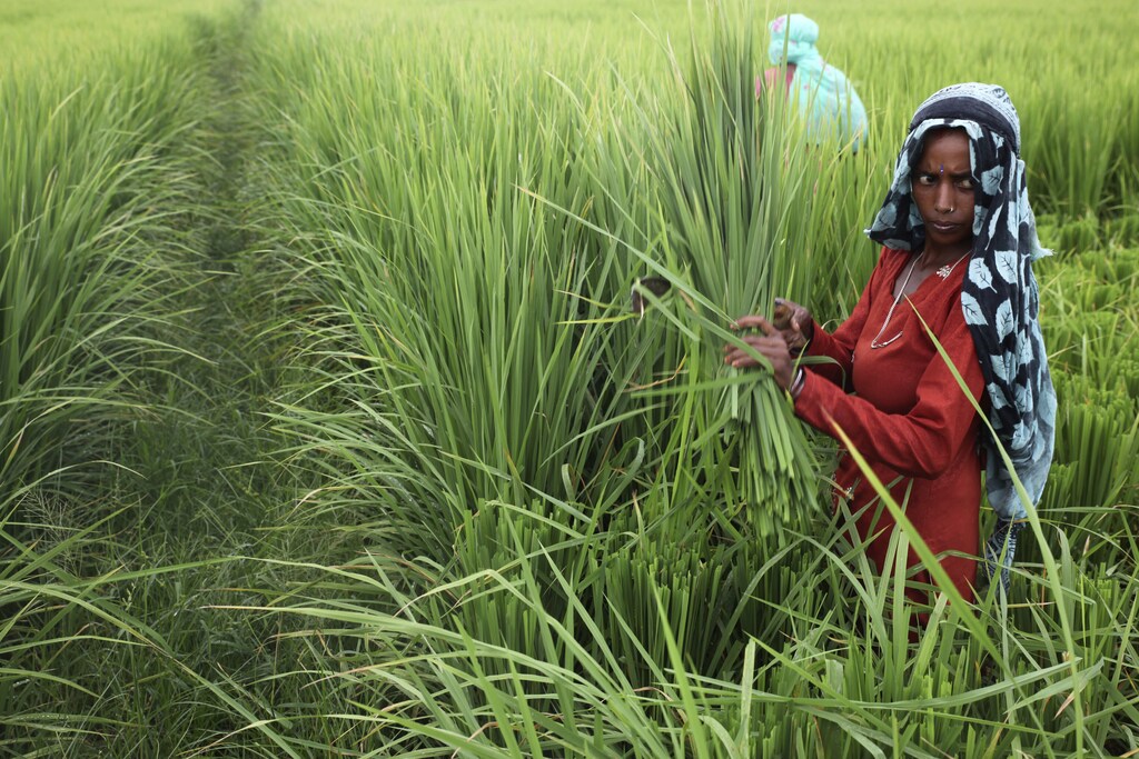 India is among the world's leaders when it comes to drafting effective climate policy.