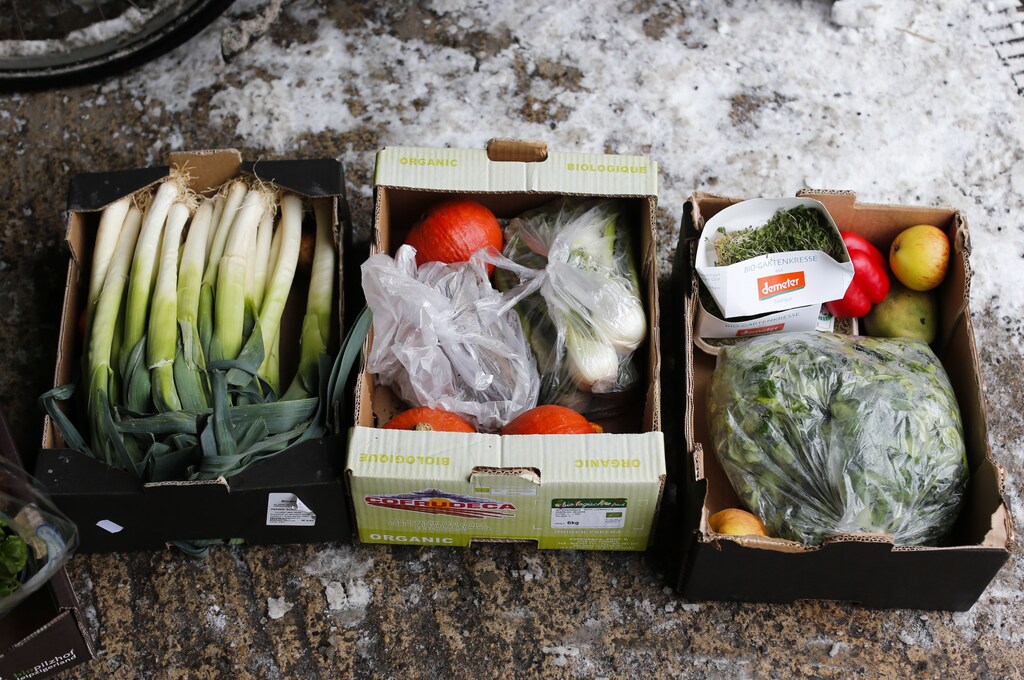 Vegetables pulled out from waste bins of an organic supermarket are pictured in Berlin, January 24, 2013. Foodsharing is a German internet based platform where individuals, retailers or producers have the possibility of offering surplus food to consumers for free. Picture taken January 24. TO MATCH STORY GERMANY-FOODSHARING/ REUTERS/Fabrizio Bensch (GERMANY - Tags: FOOD POLITICS SOCIETY) - BM2E92711ZY01