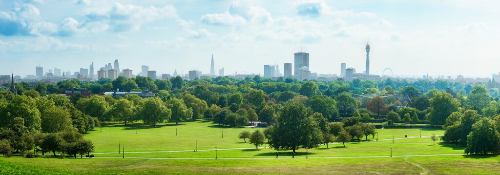 London Skyline and Primrose hill park panorama on a sunny September day. Sustainability is a great thing — but businesses are increasingly looking for ways to give back and regrow. That's where regeneration comes in.