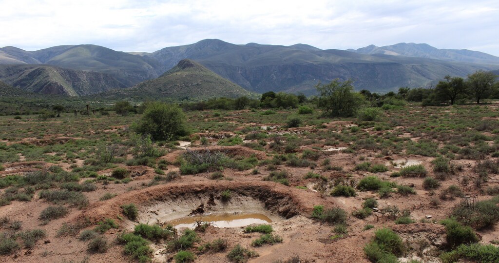 Tackling landscape degradation through integrated landscape restoration provides an opportunity to address interconnected global risks.