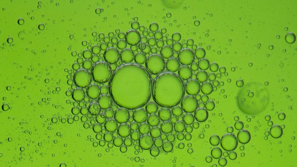 Green hydrogen: still in development