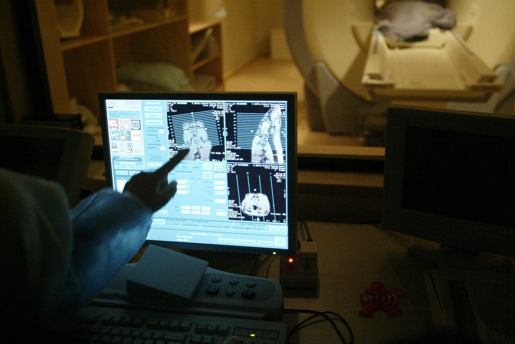 A medical technician conducts an MRI brain scan on Tirto, a Komodo dragon,at a clinic in Singapore August 23, 2003. The eight-year-old male Komododragon from the Singapore Zoological Gardens went for a brain scan to see ifit had problems with its nervous system. Tirto, weighing 42 kg (92 pounds)and measuring 2.3 metres (7.5 feet) long had been having problems eating andwalking. The zoo initially tried steroid treatment, but has now turned tothe traditional Chinese acupuncture to solve the problem. REUTERS/DavidLohPP03090006DL/CP - RP4DRIFSQWAA