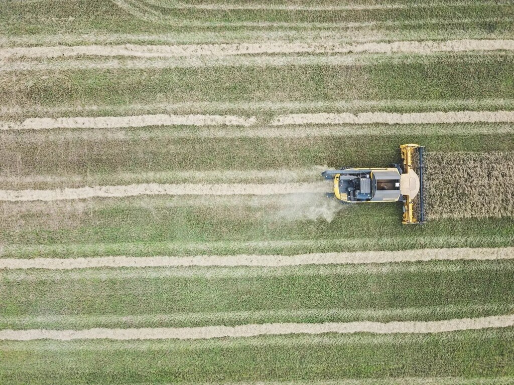 Las tecnologías digitales pueden utilizarse para hacer frente a los retos de la sostenibilidad alimentaria y, al mismo tiempo, crear nuevos negocios con una rentabilidad atractiva.