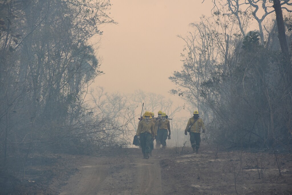 Members of the armed forces patrol the affected areas as Bolivia records the most outbreaks of wildfires since 2010 this year.