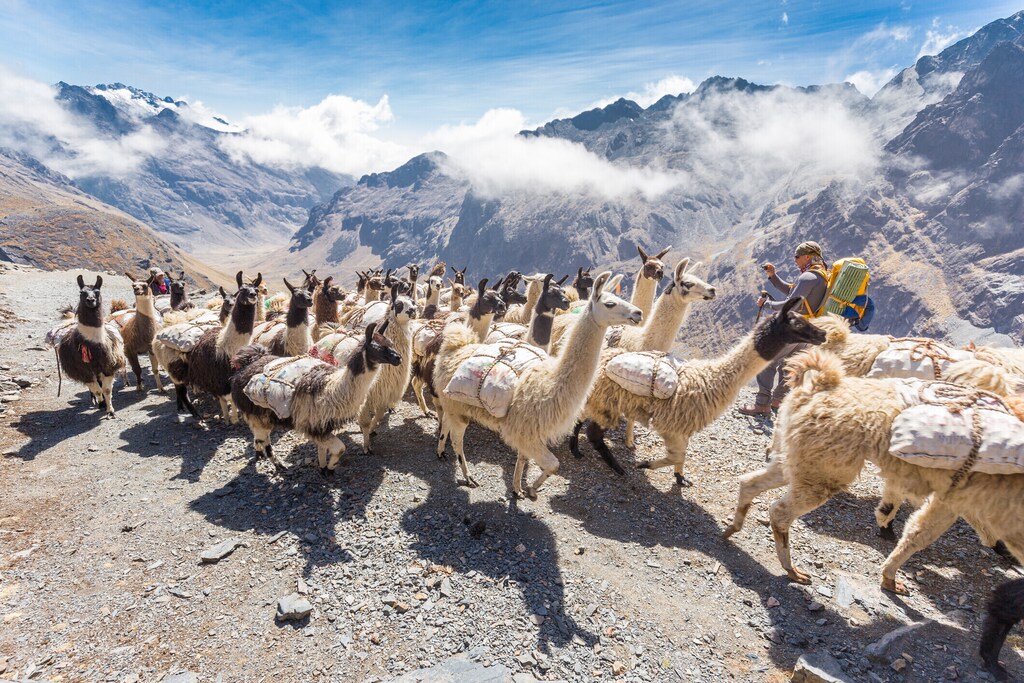 En 2024, se espera que el turismo contribuya en torno al 10% del PIB mundial.