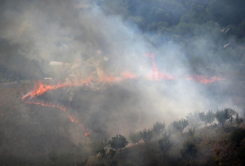 Dry grass and plants burn on the slope of Mount Kok-Tobe in Almaty, Kazakhstan August 11, 2019. REUTERS/Pavel Mikheyev - RC1FB9D42100
