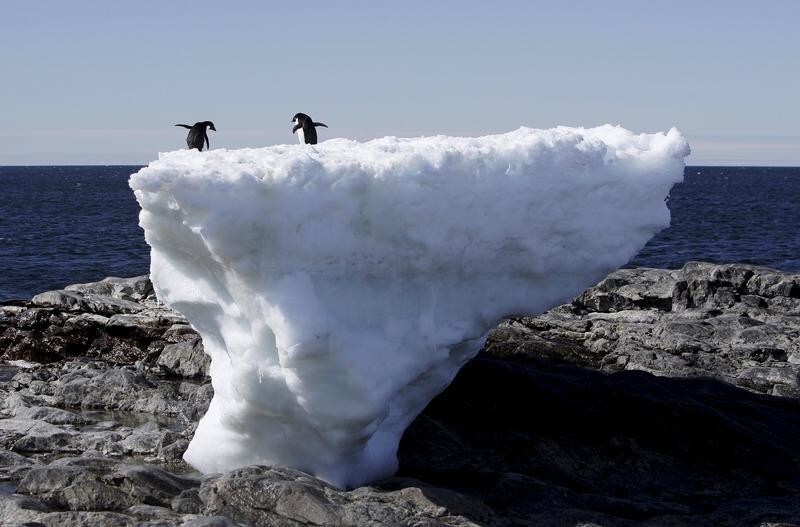 Two Adelie penguins stand atop a block of melting ice on a rocky shoreline at Cape Denison, Commonwealth Bay, in East Antarctica in this January 1, 2010 file photo. REUTERS/Pauline Askin/Files - GF10000370809