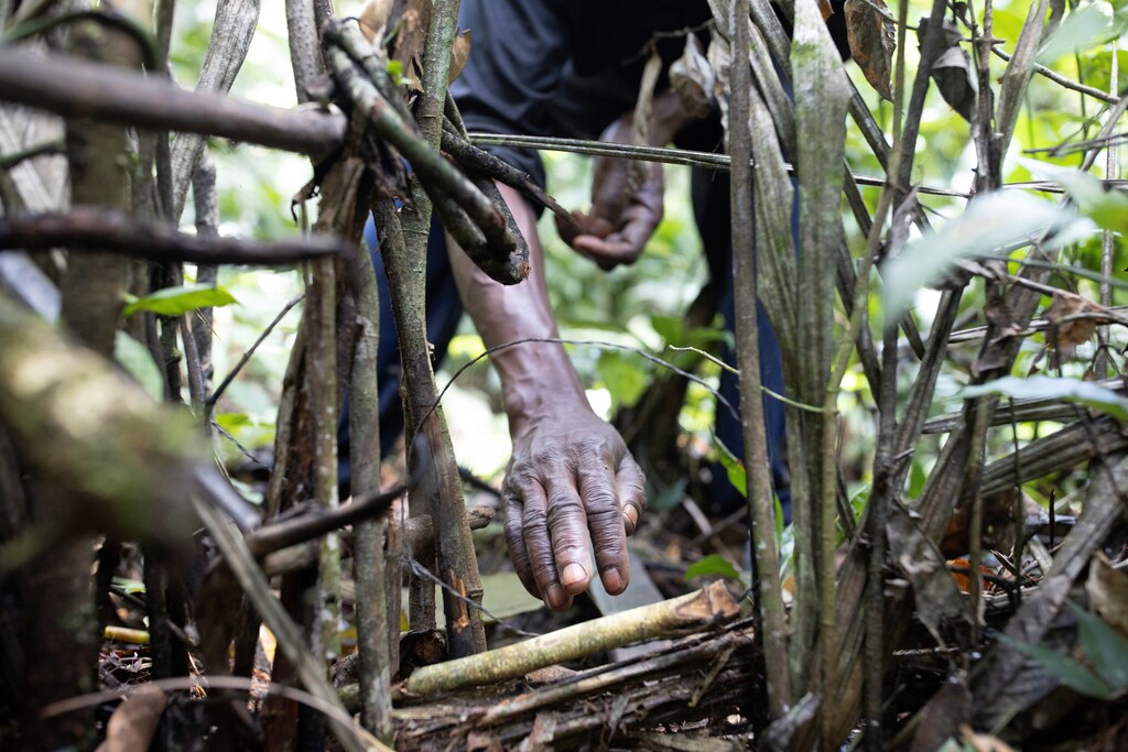 Mohamed Esimbo Matongu checks a trap in the forest near the city of Mbandaka, Democratic Republic of the Congo, April 03, 2019. REUTERS/Thomas Nicolon - RC15EC57B2F0