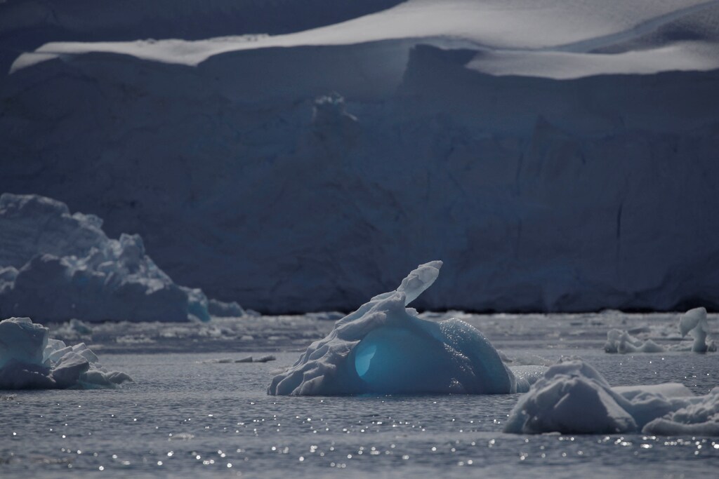 Top nature and climate news: Planet's life-support systems close to tipping point, and more.
