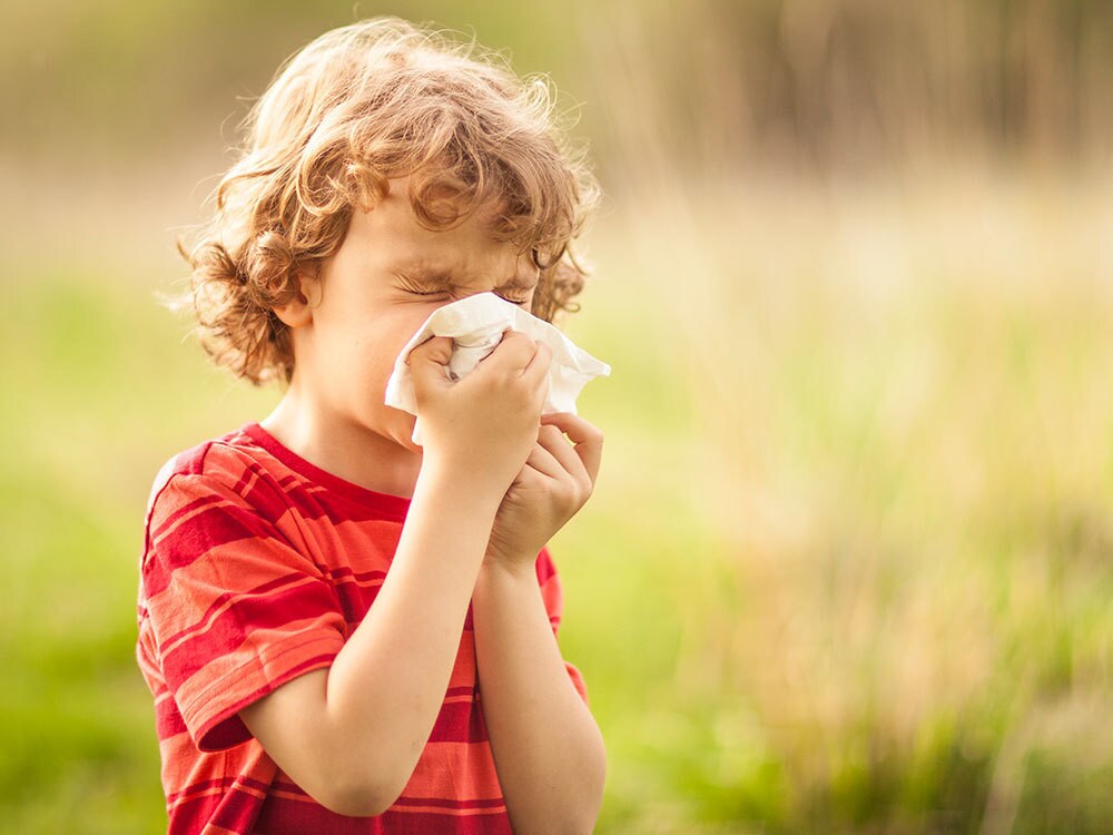 People with hay fever often have a less diverse gut microbiome.