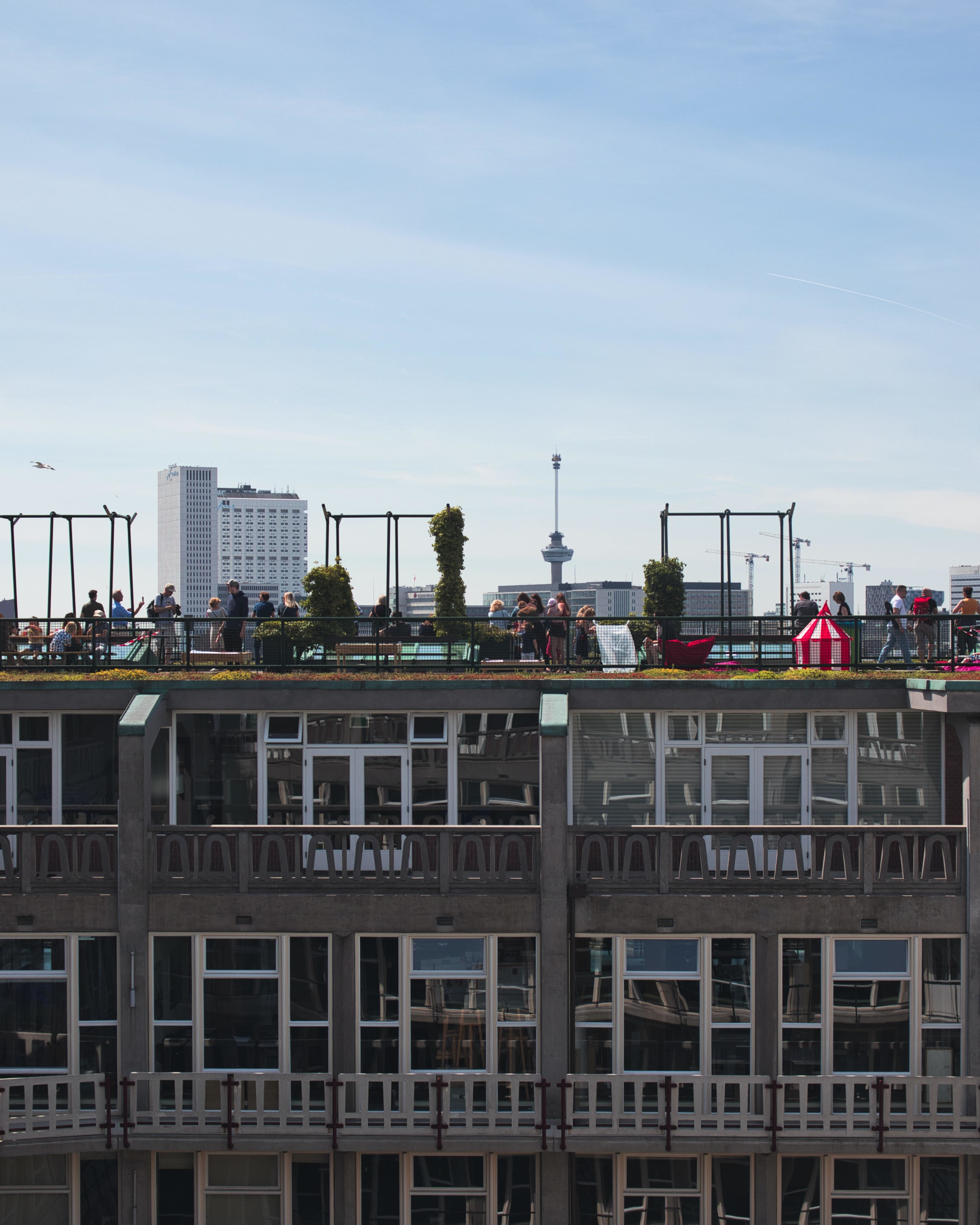 Green roofs can lower citywide ambient temperatures by 5 degrees Fahrenheit