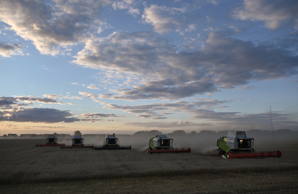a picture of combine harvesters harvesting a wheat field