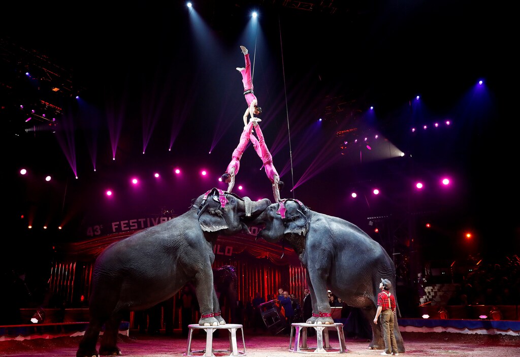 Members of Joy Gartner Family and their elephants perform during the opening ceremony of the 43rd Monte-Carlo International Circus Festival in Monaco, 17 January 2019. REUTERS/Sebastien Nogier/Pool - RC1B28A37ED0