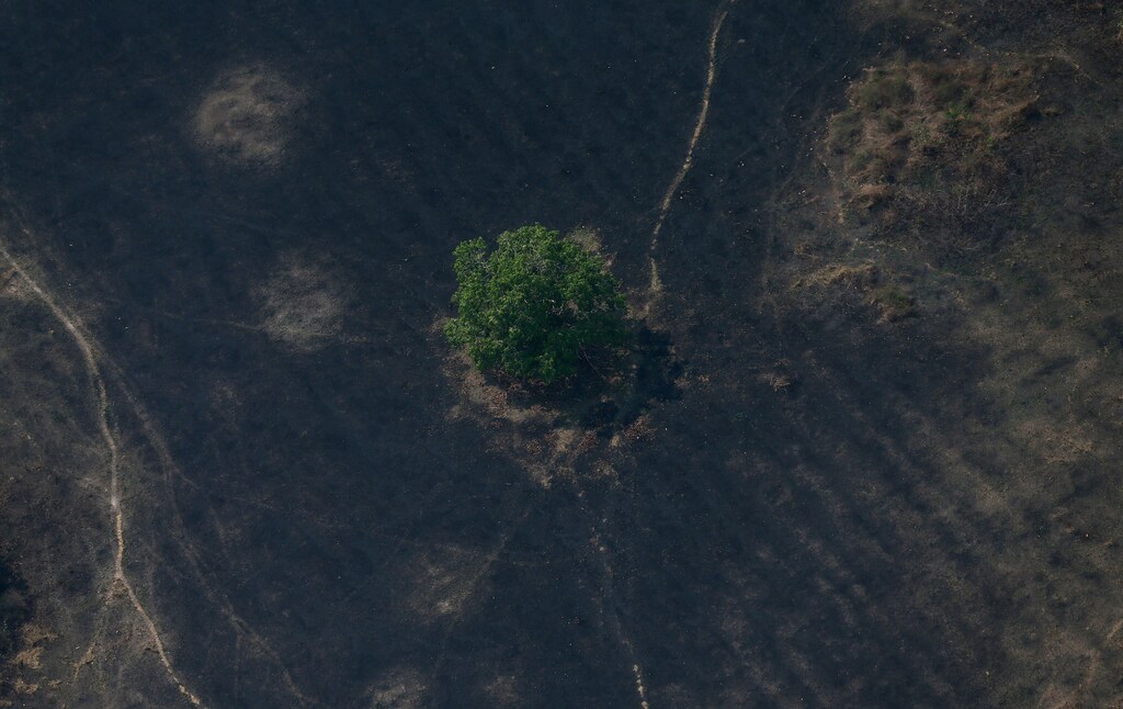 An aerial view of deforestation in the Amazon, where forest was burned as it was cleared by loggers and farmers near Porto Velho, Brazil August 29, 2019