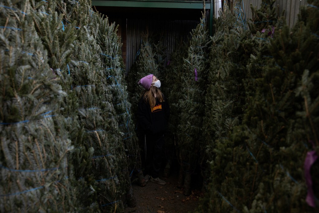 Lydia Hassebroek looks at Christmas trees as the global outbreak of the coronavirus disease (COVID-19) continues, in Brooklyn, New York, U.S., December 6, 2020. REUTERS/Caitlin Ochs - RC23IK9DXDPB