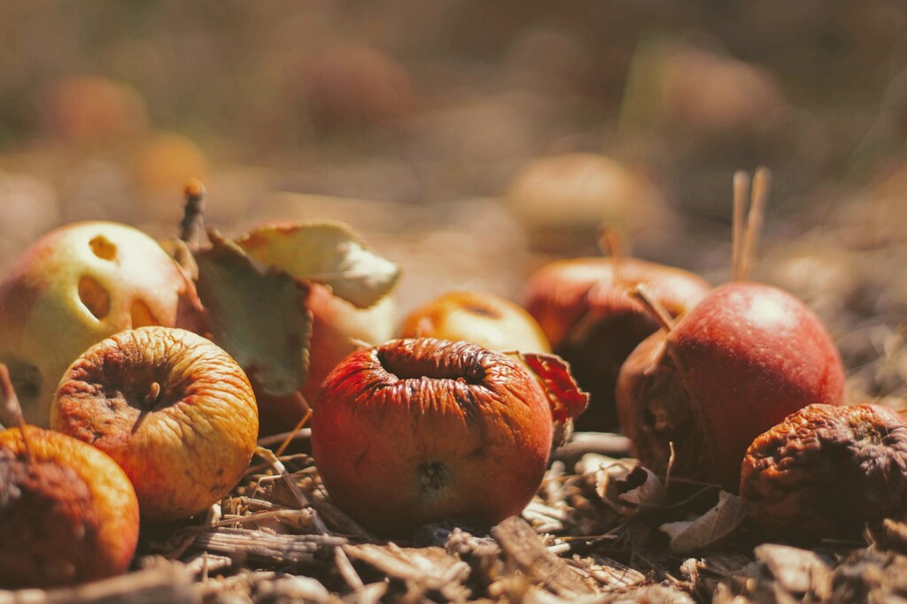Composting can help reduce emissions from food waste.