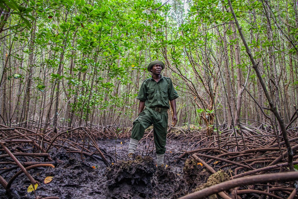 Philanthropy must step up to protect the natural world. Davos 2023