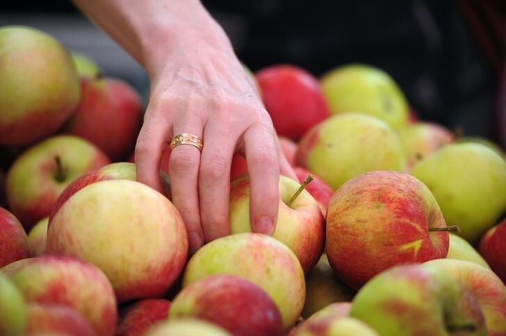 Apples are displayed at a fruit and vegetables market in Warsaw August 13, 2014. As the European Union's second biggest apple producer, Poland has some 700,000 tonnes of the fruit it usually sells to Russia but can't, because Moscow has a food embargo on many EU and U.S. goods as part of tit-for-tat sanctions related to the Ukraine crisis. Many of those Polish apples will inevitably head for western Europe, potentially displacing their more expensive European rivals. Others will go to markets in Asia and the Middle East, traditionally supplied by EU countries such as France. Picture taken August 13. To match story UKRAINE-CRISIS/SANCTIONS-FOOD REUTERS/Filip Klimaszewski (POLAND - Tags: POLITICS CIVIL UNREST FOOD BUSINESS)