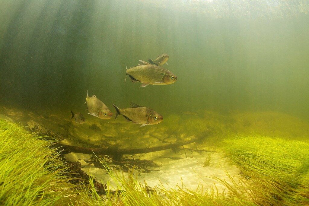 This weekly round-up contains the key nature and climate news from the past week.