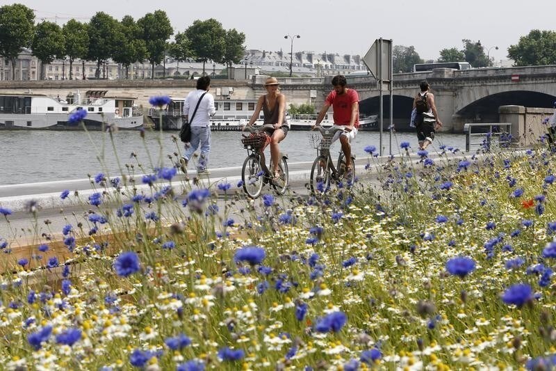 Cyclists ride by a flower bed on the opening day of the new pedestrian walkway area between the Orsay Museum and Alma Bridge on the left bank of the River Seine in Paris June 19, 2013. The Paris Mayor inaugurated the pedestrian 2.3 kms (1.4 miles) area, the former Paris left bank expressway, along the Seine River which will offer gardens, cafe, culture and sport activities. REUTERS/Charles Platiau (FRANCE - Tags: SOCIETY TRAVEL) - PM1E96J171401