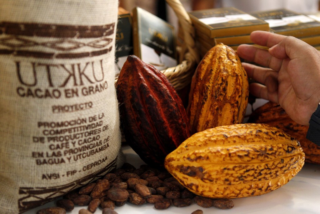 Cocoa fruit and products made with cocoa are displayed during a chocolate convention in Lima July 5, 2012. The five-day exhibition, which drew distributors from Latin America and chocolate sommeliers from Europe, featured organic dark chocolate candy bars, chocolate sushi and Machu Picchu and Lord of Sipan sculptures carved out of chocolate. REUTERS/Mariana Bazo (PERU - Tags: SOCIETY FOOD BUSINESS) - GM1E87608QQ01