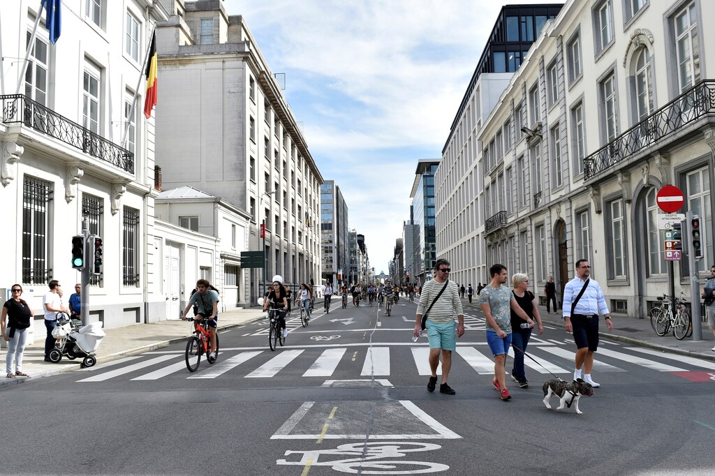 People take their dog for a walk as others ride bikes in the city center, which has been transformed into a car-free zone for the day as part of "Mobility Week", in Brussels, Belgium, September 16, 2018. REUTERS/Eric Vidal - RC14E5E4B300