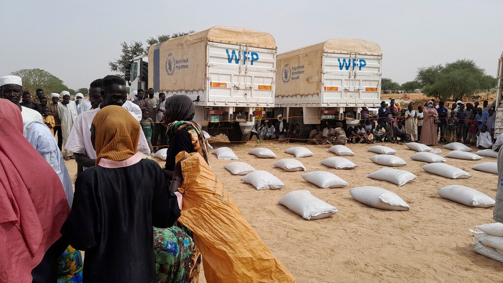 Sudanese refugees who have fled the violence in their country queue to receive food supplements from World Food Programme (WFP) near the border between Sudan and Chad in Adre, Chad April 26, 2023. REUTERS/Mahamat Ramadane