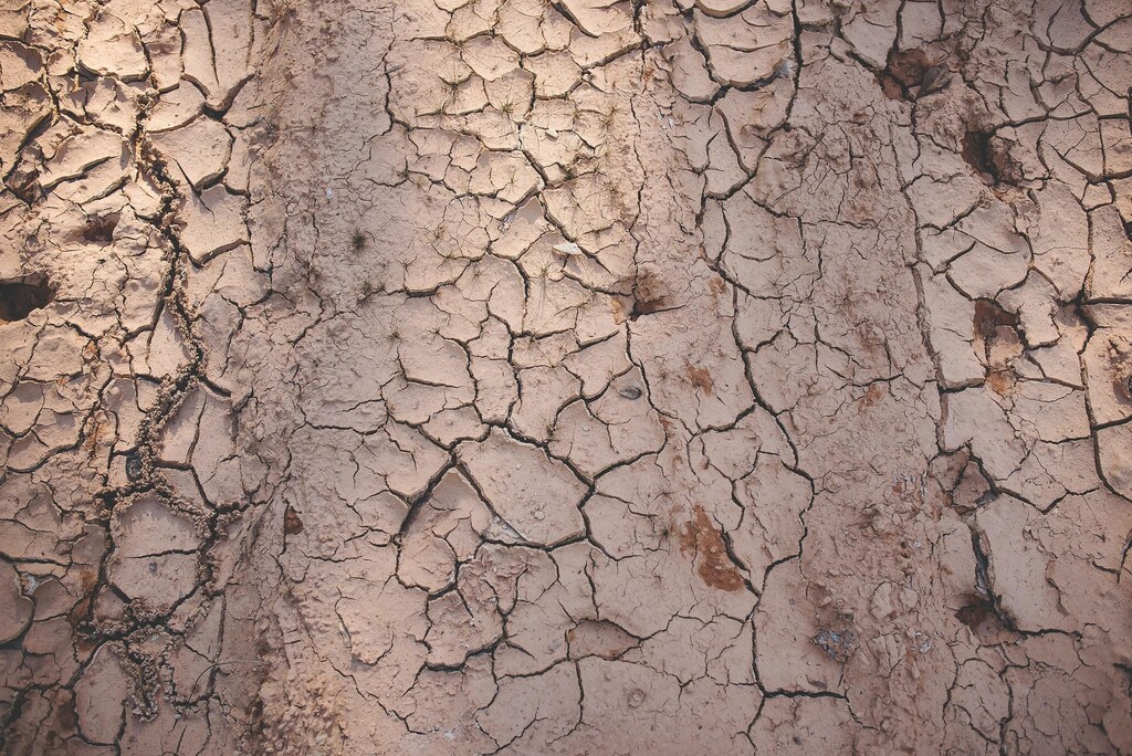 Cracked clay soil.