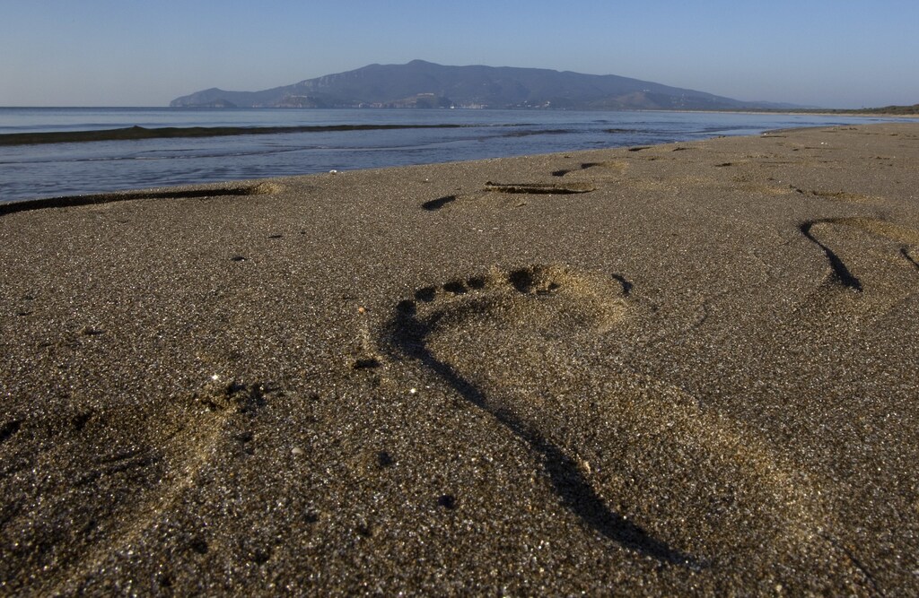 A view of the Feniglia beach in Porto Ercole, in Tuscany, January 23, 2010. The mystery surrounding the death of Baroque master Caravaggio may soon be resolved thanks to new DNA tests, as long as the right body can be found. Pictures taken January 23, 2010. REUTERS/Tony Gentile (ITALY - Tags: SOCIETY) - RTR29H4X